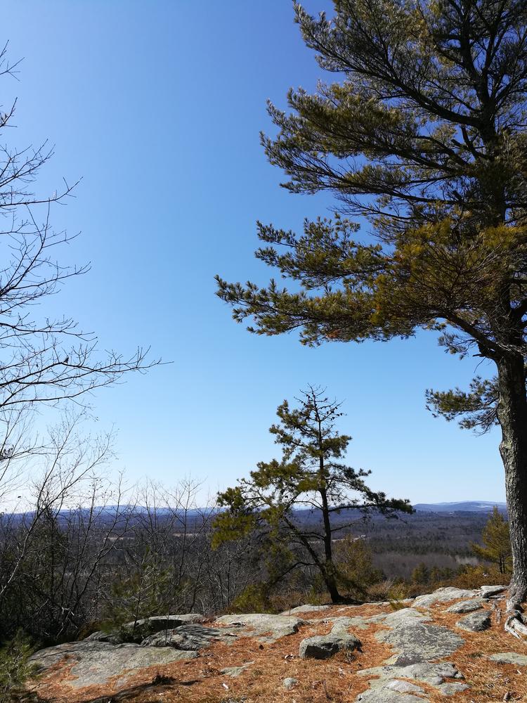 Monument Hill view - 22 March 2020 (Credit: Christine Parker)
