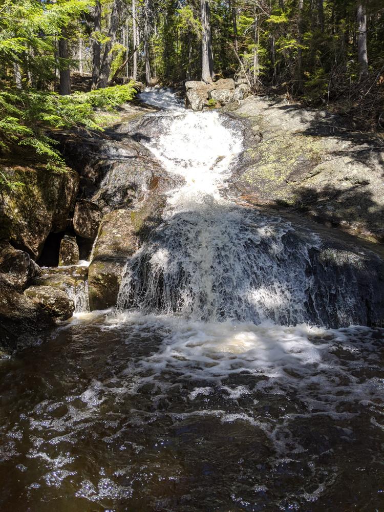 Bethel Community Forest & Bingham Forest Hiking Trails Maine Trail Finder