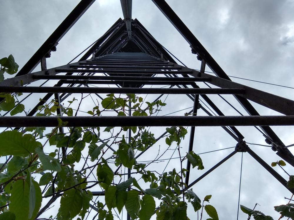 Looking up at the fire tower (Credit: Michelle Moody)
