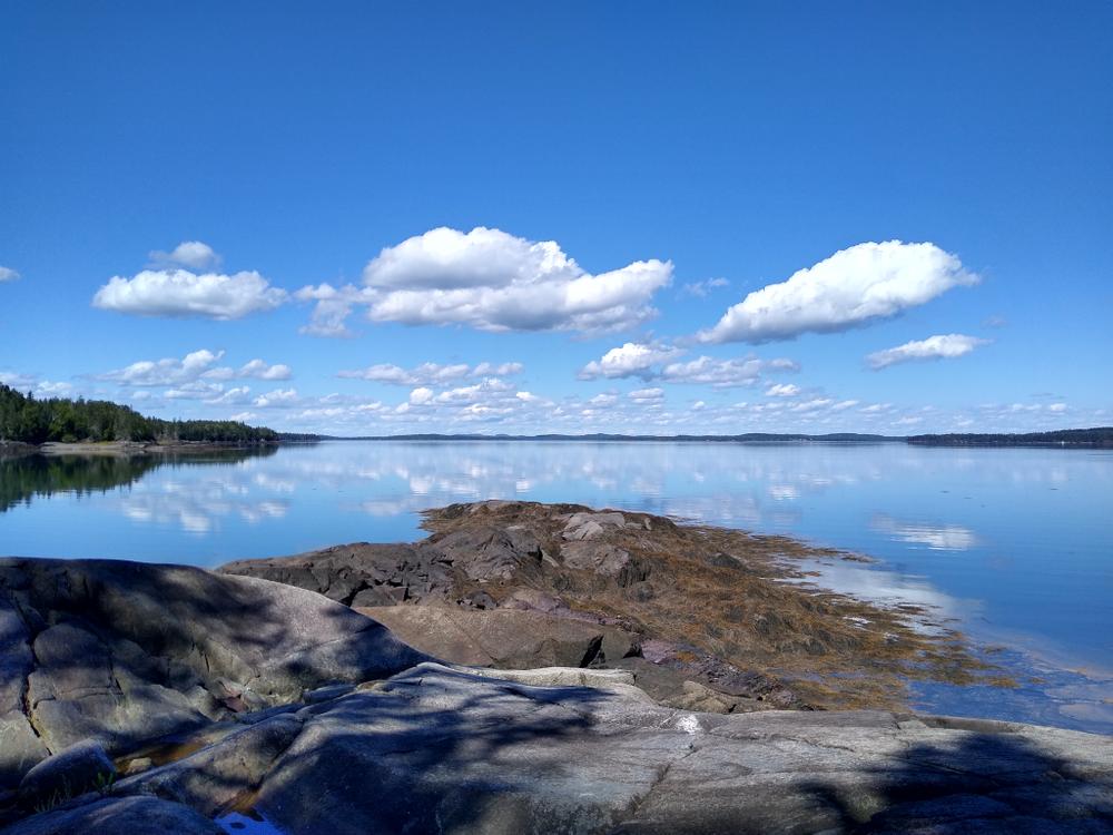 Cobscook Bay Wildlife Management Area - Horan Head Unit - Maine Trail ...