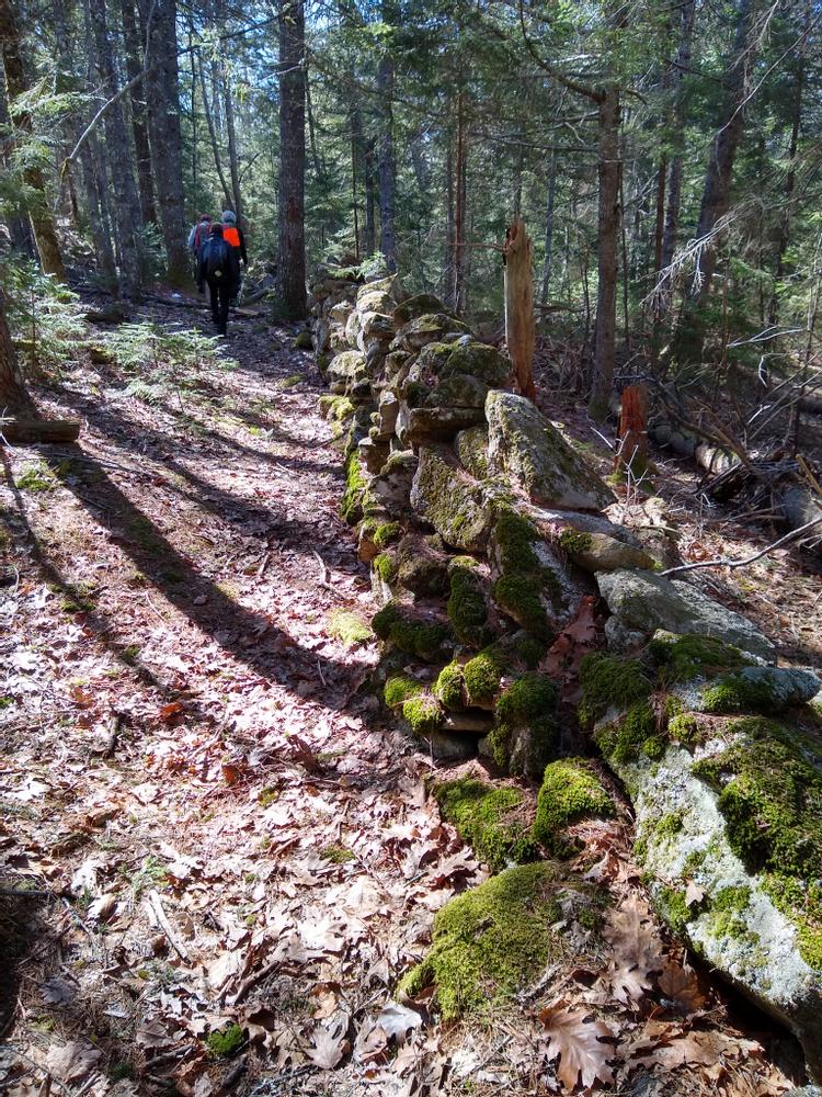 Trail along the stone wall (Credit: Michelle Moody)