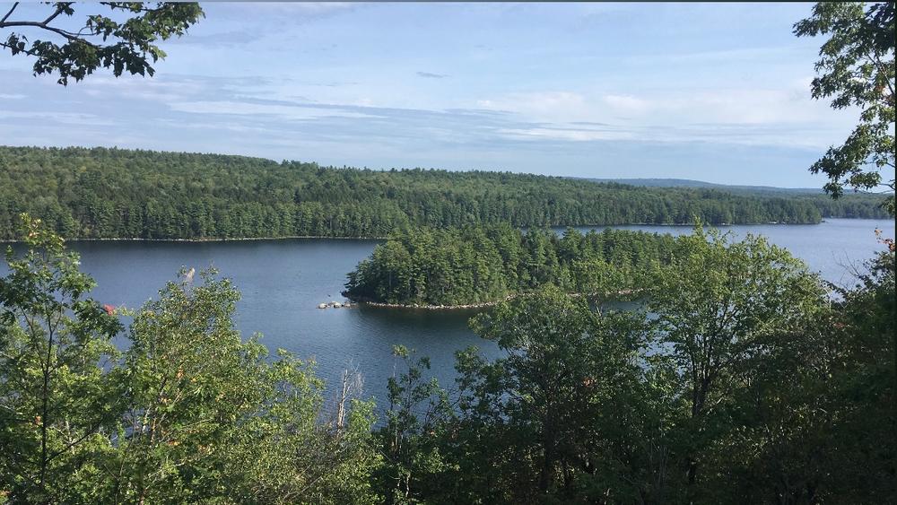 View of Parker Pond and Birch Island (Credit: Isabelle Rogers)