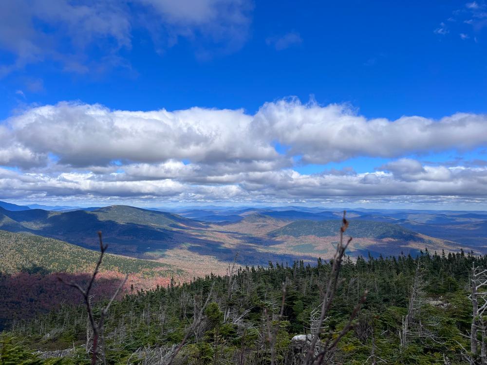 View from m Mt. Abrams (Credit: Janeoconor)