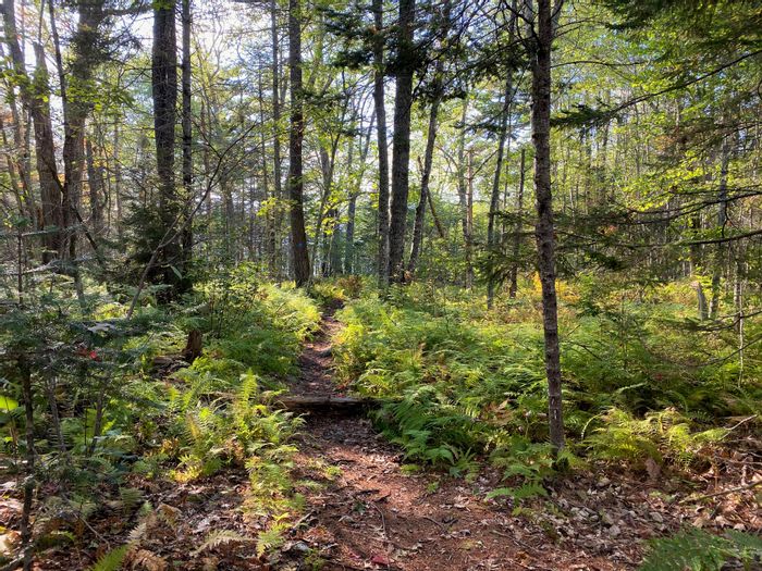 Pemaquid Pond - Maine Trail Finder