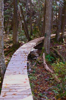 Boardwalk along trail (Credit: Nickerson Lake Wilderness Preservation, Inc.)