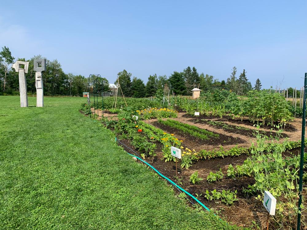 Milbridge Commons Walking Trail Maine Trail Finder