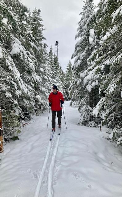 Trails in Winter (Credit: Elaine Hendrickson)