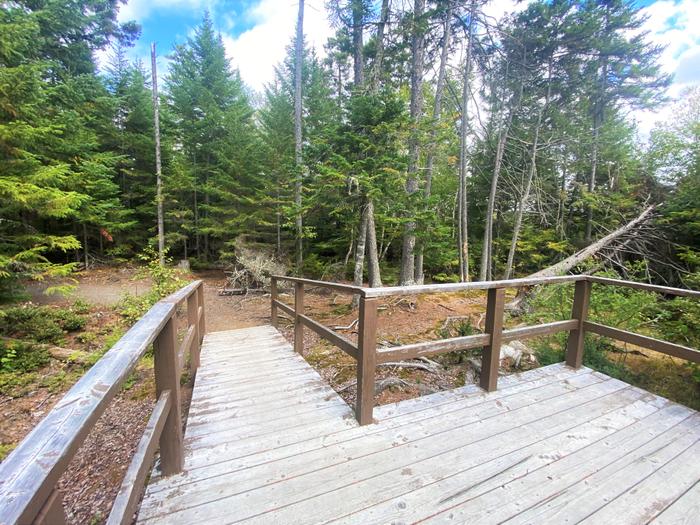 Cupsuptic Lake Trail Maine Trail Finder