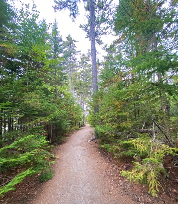 Cupsuptic Lake Trail Maine Trail Finder