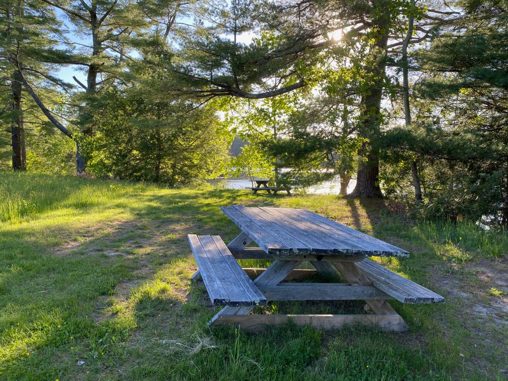 picnic tables on the river at Round Top Farm (Credit: Coastal Rivers)