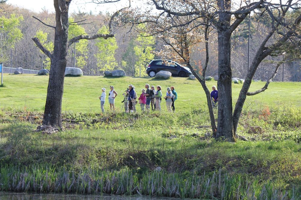 Kittredge Brook Forest Maine Trail Finder