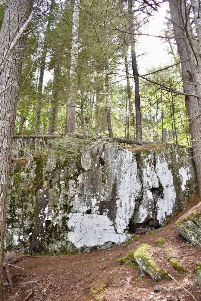 Rock with bright white mold and lichen (Credit: Beth Whitney)