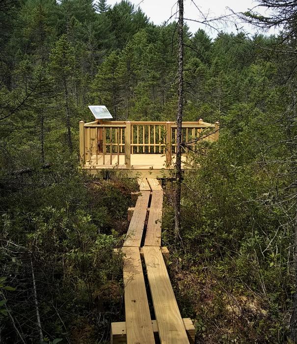 Kettle Hole Bog Platform (Credit: OCSWCD)