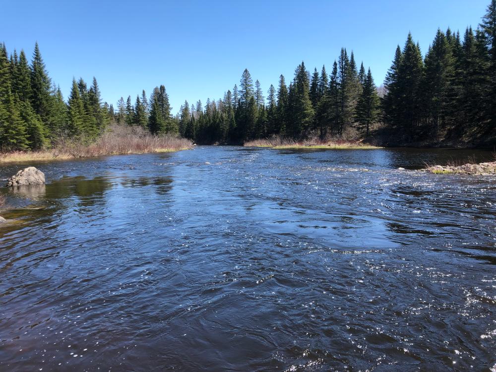 Machias River (Big Machias Lake to Pinkham Bridge) Maine Trail Finder