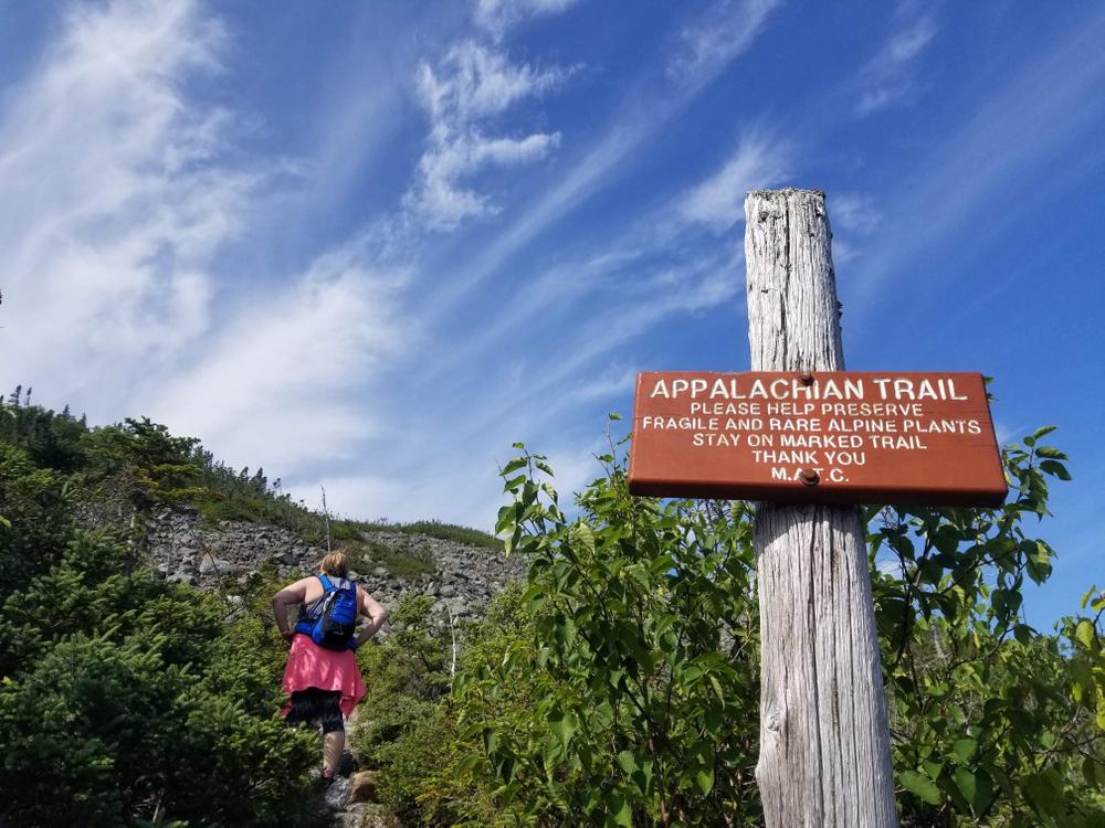 Mount Abraham - Fire Warden Trail
