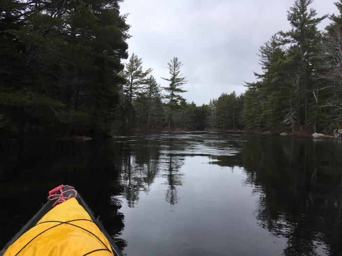 Start of river paddle (Credit: Nicole Grohoski)