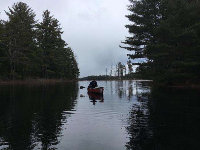 Machias River Race Course and Paddling Route Maine Trail Finder