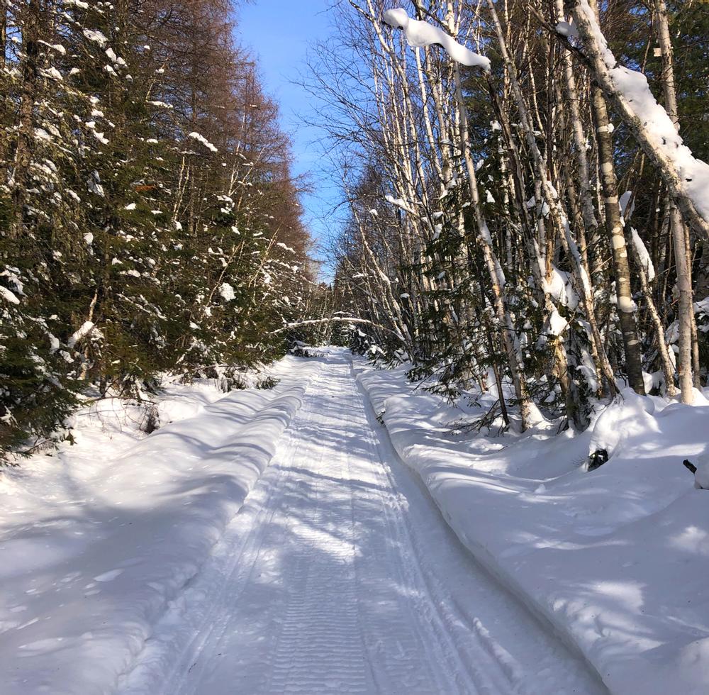 Madawaska Lake Island Trails Maine Trail Finder