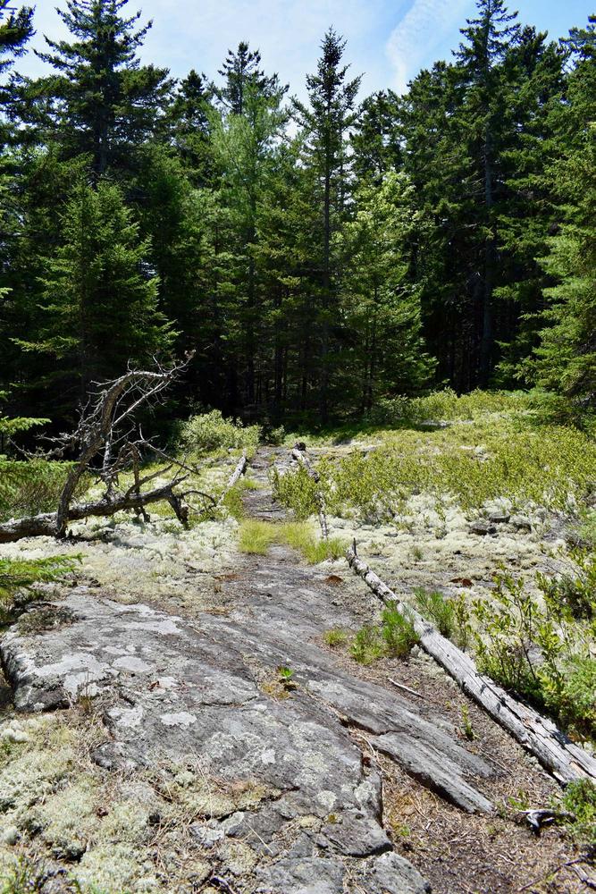 Morse Pond Preserve - Maine Trail Finder