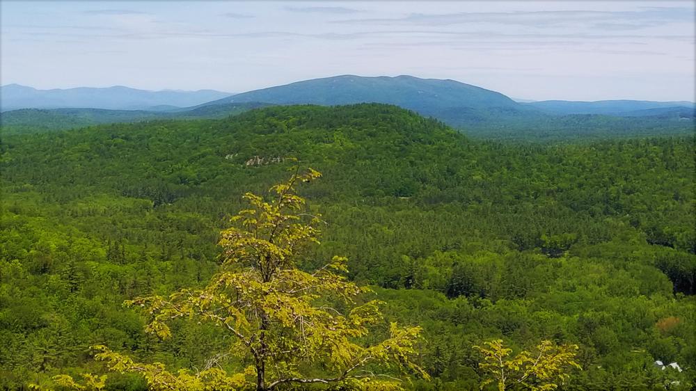 Mt Cutler Park & Conservation Area - Maine Trail Finder