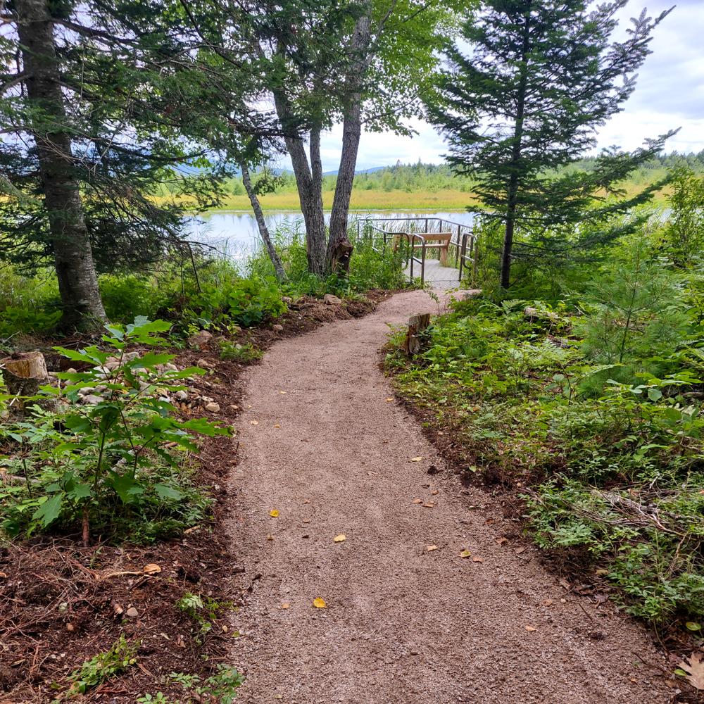 Musquash Esker Trail Maine Trail Finder