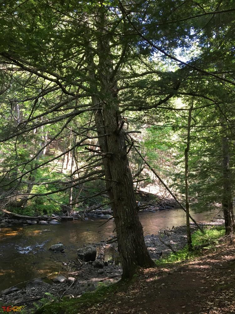 Palermo Preserve Maine Trail Finder