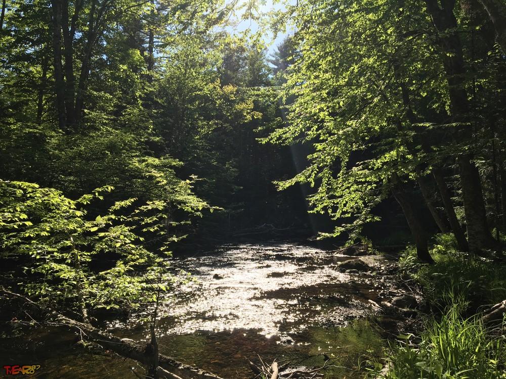 Palermo Preserve Maine Trail Finder