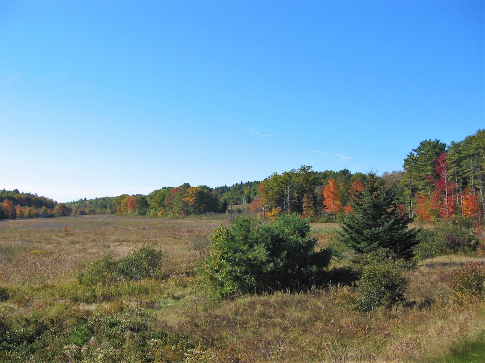 Pine Tree Preserve Maine Trail Finder