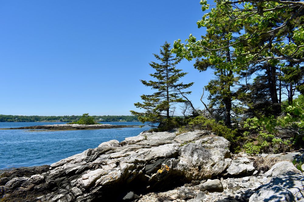 Porter Preserve - Maine Trail Finder