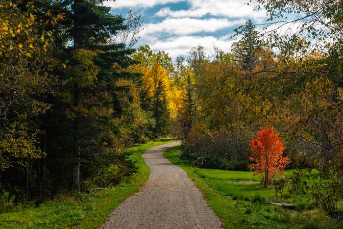 Cobscook Shores - Red Point Nature Preserve - Maine Trail Finder