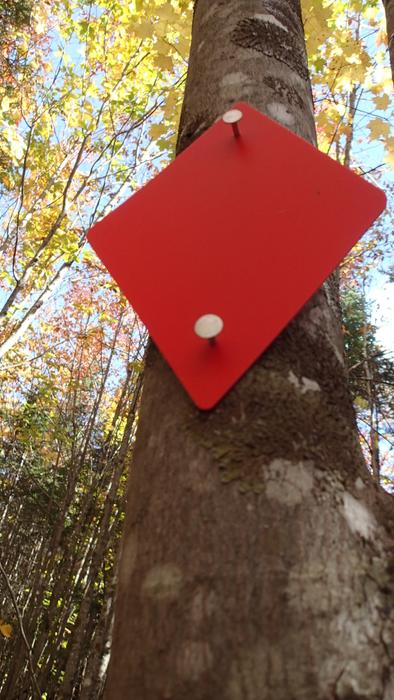Red diamond blaze on the Headwaters Trail (Credit: Bureau of Parks and Lands)