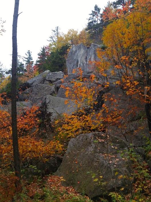 Rocky outcropping along the Rock Castle Loop (Credit: Gabe Perkins)