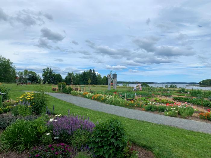 Milbridge Commons Walking Trail Maine Trail Finder