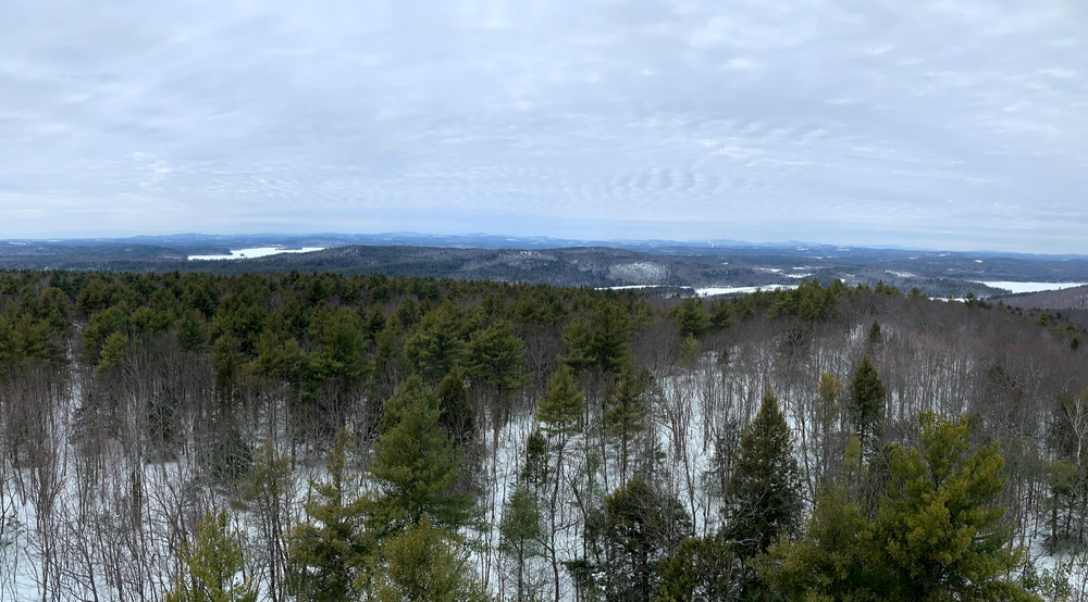 View from the Fire Tower (Credit: Paula Bourque)