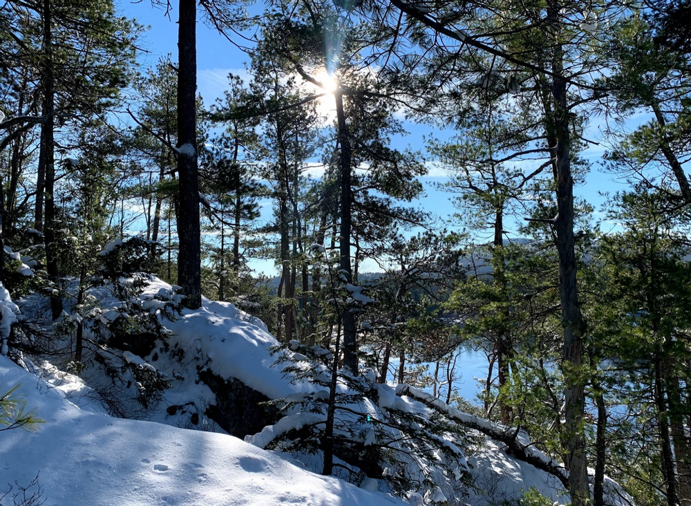 Winter Hiking (Credit: Paula Bourque)