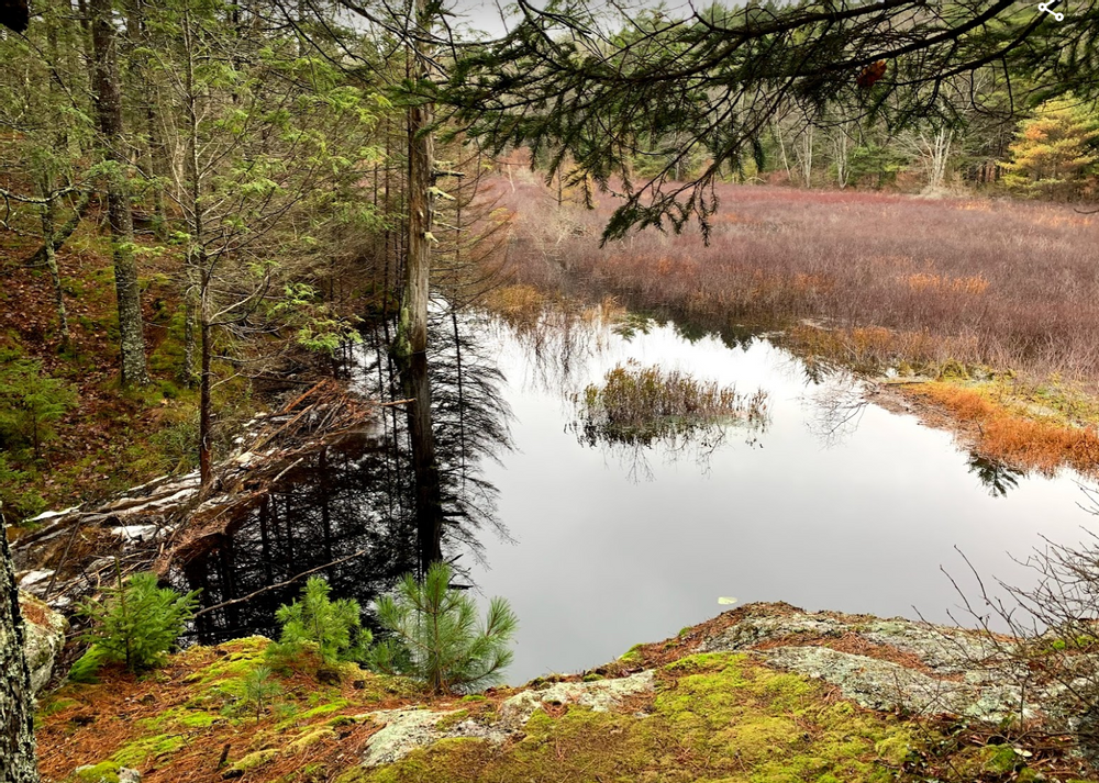 Sprague Pond Trail Maine Trail Finder