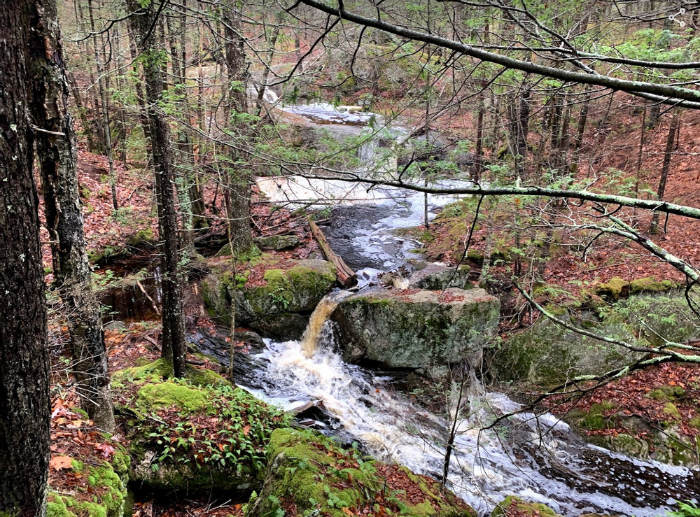 streams and waterfalls (Credit: Paula Bourque)