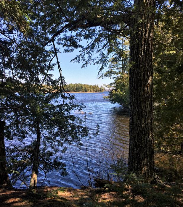 Pleasant Lake Preserve Maine Trail Finder