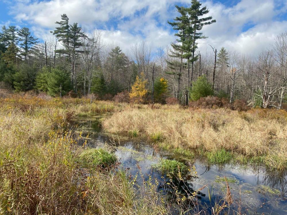 Steep Falls - Maine Trail Finder