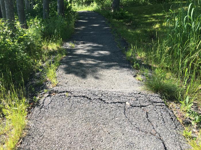Frost heave in pavement on trail (Credit: Hope Rowan)