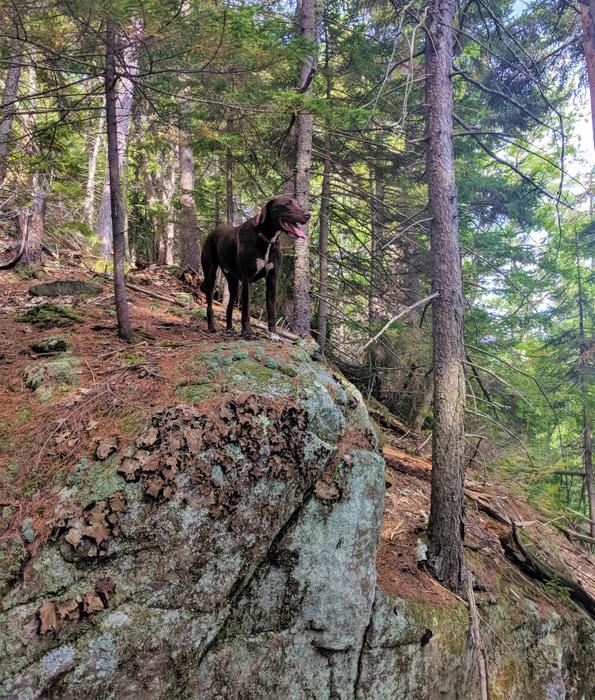 Summit Ridge Trail (Credit: Gabe Perkins)
