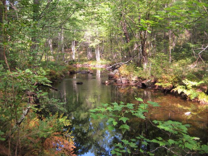 Tenmile River (Credit: OCSWCD)