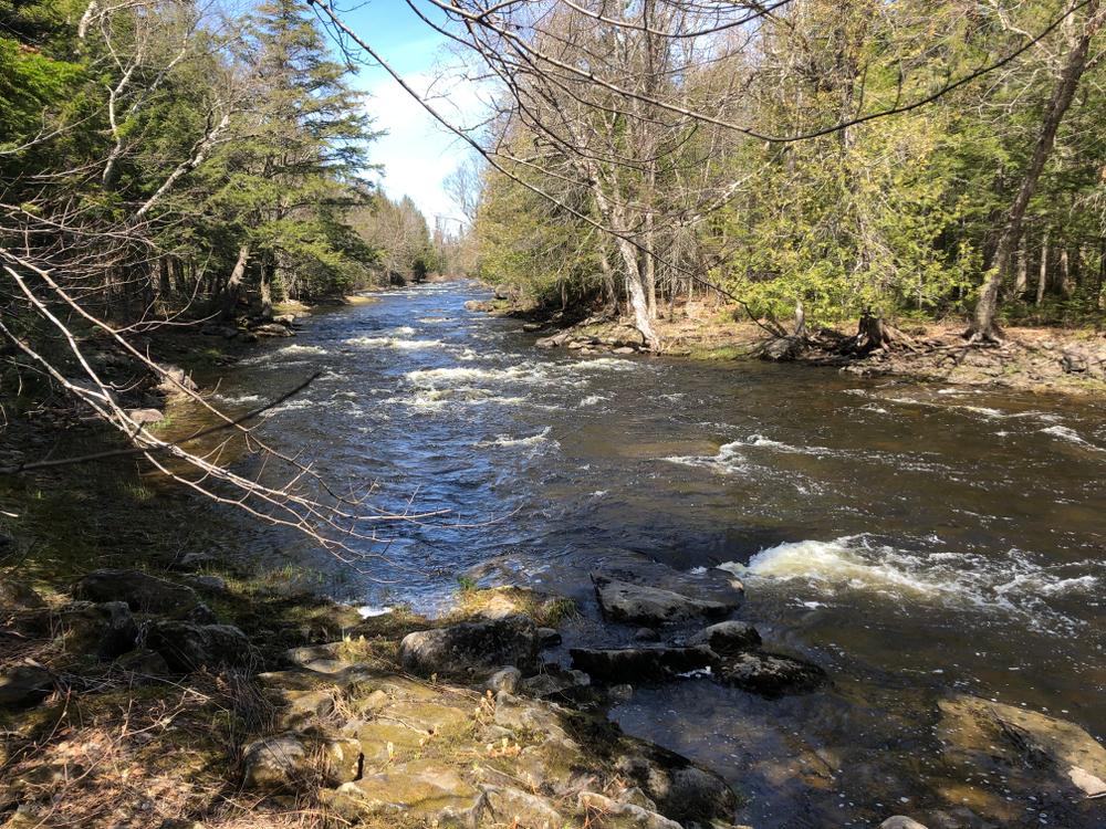 Mattawamkeag Paddle Route (East Branch) - Maine Trail Finder