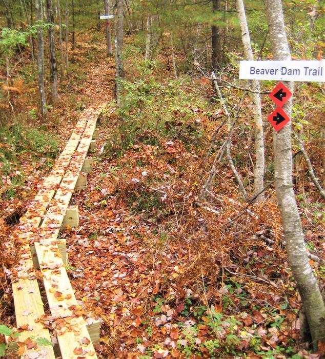 Bridging on Beaver Pond Loop (Credit: OCSWCD)