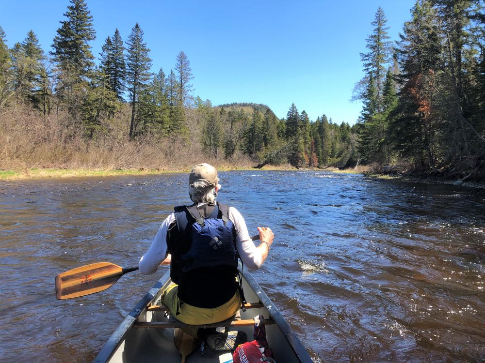 Machias River (Big Machias Lake to Pinkham Bridge) Maine Trail Finder