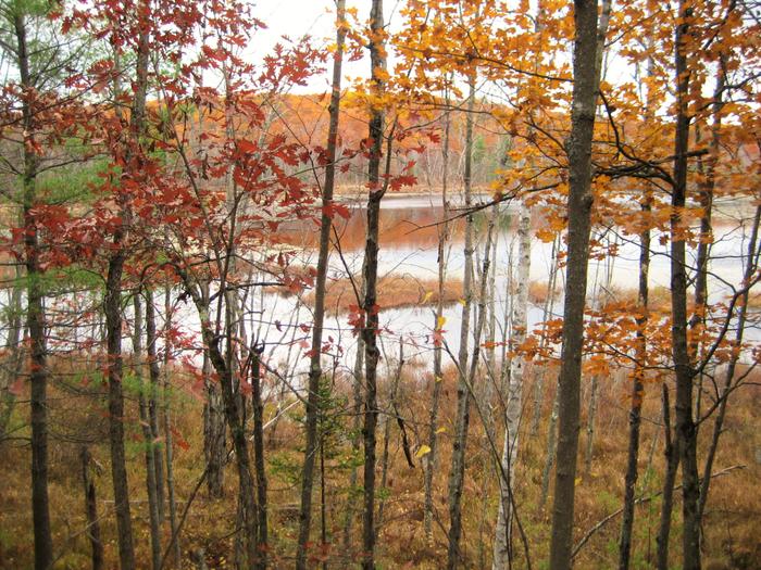 View of Round Pond (Credit: OCSWCD)