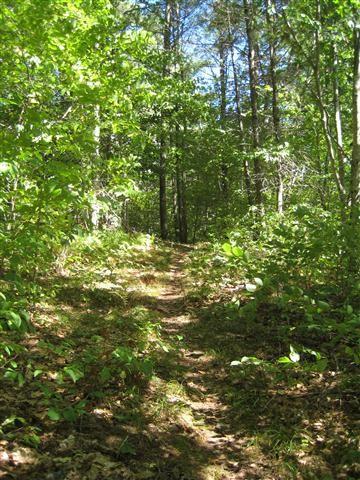White Trail (Credit: Midcoast Conservancy)