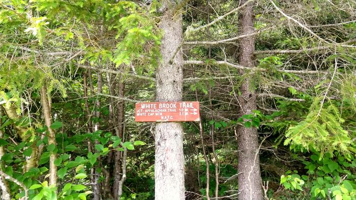 Junction of old road with blue-blazed trail (Credit: Maine Appalacian Trail Land Trust)