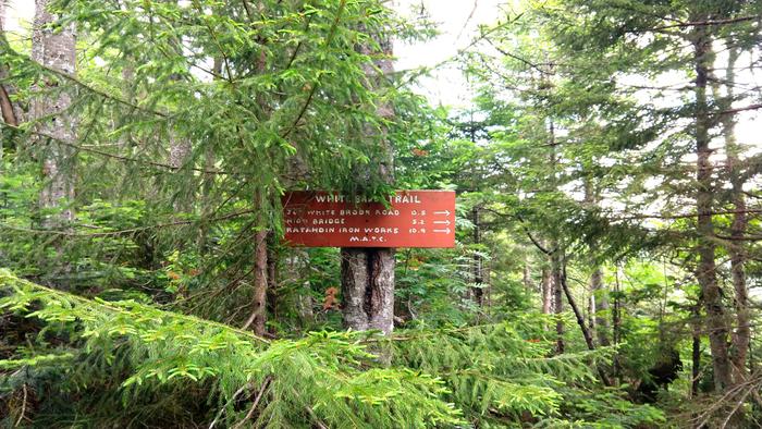 Trail signage (Credit: Maine Appalacian Trail Land Trust)