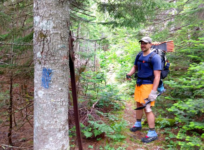 Along the trail (Credit: Maine Appalacian Trail Land Trust)